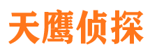 蔡甸寻人公司